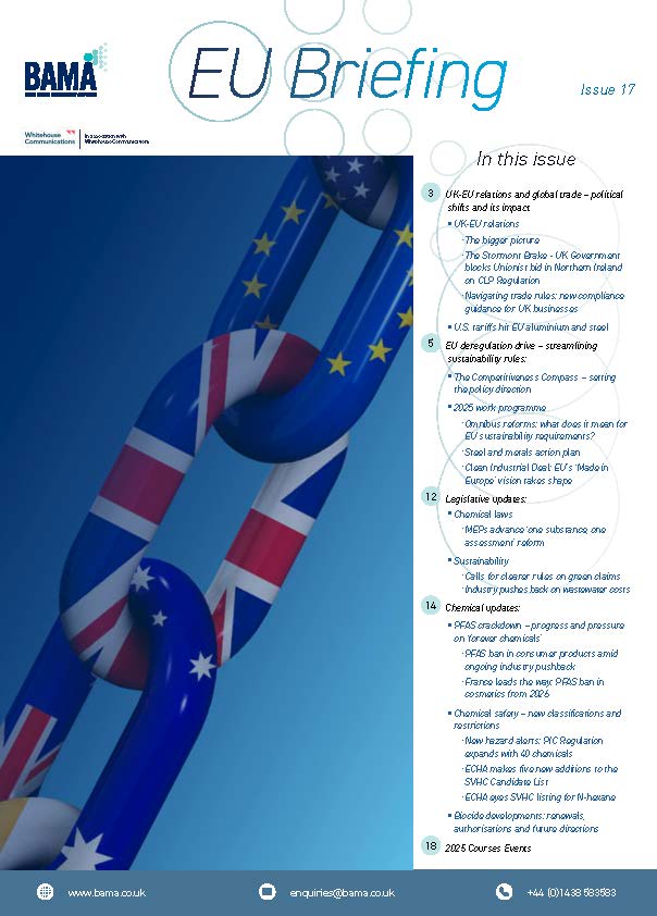 EU Briefing Issue 17